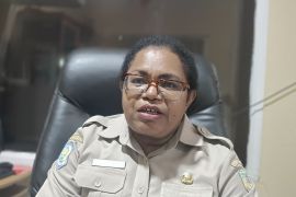 Bapenda Mimika targetkan pendapatan daerah sebesar Rp6,250 triliun pada 2025