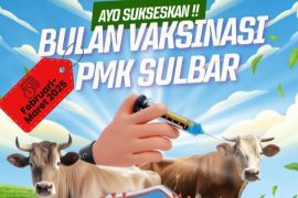 Sulbar lakukan vaksinasi 9.000 ternak cegah PMK