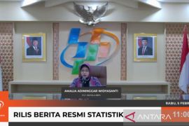 BPS sebut ekonomi tumbuh 5,02 persen yoy pada triwulan IV 2024