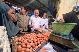 Zulhas dan Mendag tinjau harga pangan jelang Ramadhan