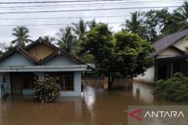 PT WKS turunkan alat berat bantu korban banjir di Tanjabtim