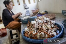 Produksi pengolahan rajungan menurun