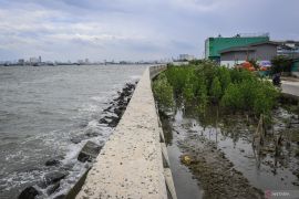 Proyek tanggul laut raksasa diwujudkan untuk lindungi kawasan pesisir
