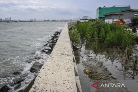 Pemkab Tangerang nilai tanggul laut bantu tumbuhkan ekonomi warga pantura