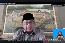  Danantara jadi prasyarat bagi pertumbuhan ekonomi RI