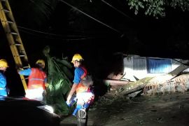 PLN UIW MMU  pulihkan sistem kelistrikan dampak cuaca buruk