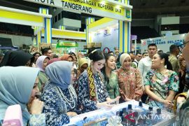 Ketua Umum Dekranas terpukau saat kunjungi Stand Dekranasda HSU