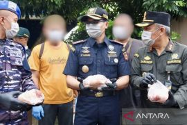 Karantina Kalsel musnahkan daging babi ilegal asal Jatim