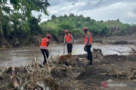 Anjing pelacak SAR bantu pencarian korban banjir di Bima