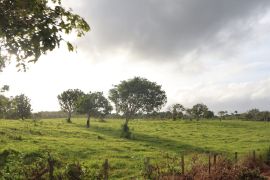 Menjelajah keindahan tersembunyi: Island hopping di Enggano, destinasi wisata baru Bengkulu