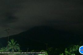 Gunung Lewotobi Laki-laki  kembali erupsi pada Jumat dini hari