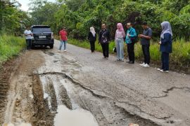Warga Desa Binjai Punggal minta perbaikan jalan