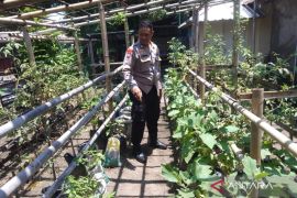 Polisi dukung KWT di Mataram tanam komoditas pangan