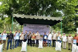 Lonsum bantu 164.650 Kg pupuk untuk 939 petani Kebun Rambong Sialang dan Sibulan