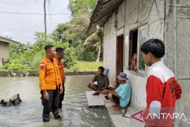 BPBD Lampung Selatan data rumah terdampak banjir di Kecamatan Way Panji