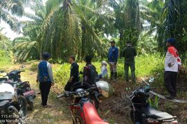 Warga Desa Bintang Ara keluhkan angkutan perusahaan sawit