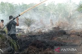 BPBD Aceh Barat kerahkan personel padamkan Karhutla