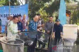 Bupati Bangka Tengah: Prospek budidaya ikan air tawar menjanjikan