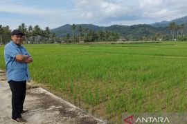 Dewan Kesenian apresiasi "On The Spot" seni Lukis Kalsel