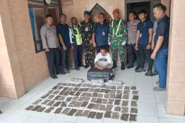 Petugas Bandara Sentani tangkap calon penumpang bawa seratusan paket ganja