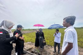 Optimalisasi lahan di Desa Pajukungan Hilir terkendala dana