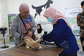 DKP Tangerang gelar vaksinasi rabies gratis, khusus empat jenis hewan