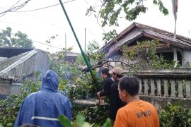 BPBD: Waspada  cuaca ekstrem di Mataram hingga 13 Februari