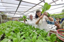 Menteri Arifah ajak K/L kolaborasi bangun RBI di Kampung Jimpitan