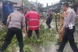Warga dan aparat di Kabupaten Gowa bersihkan pohon tumbang