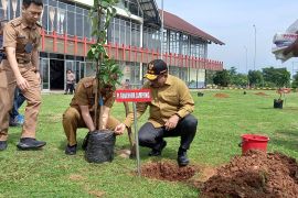 Tol Bakter gandeng Pemprov Lampung hijaukan area tol