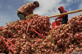  Bawang merah Rp38.500/kg, cabai rawit Rp67.750/kg