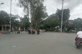 BMKG: Curah hujan di Jambi berkurang akibat siklon tropis di selatan Jawa