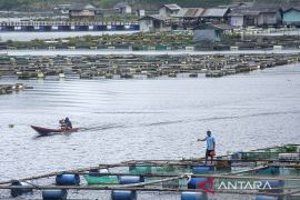 KKP mengimbau penggunaan KJA sesuai standar