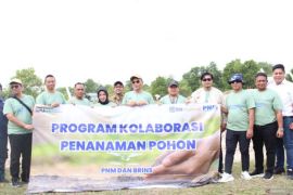 Wujud kepedulian terhadap lingkungan, BRI Insurance-PNM Babel tanam 1.000 bibit pohon