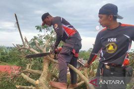 BPBD: 70 kejadian bencana landa Sukabumi sepanjang Januari 2025