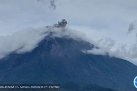 Gunung Semeru erupsi dengan tinggi letusan 700 meter di atas puncak pada Selasa pagi