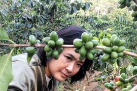 BNI dukung UMKM kopi Garut swasembada pangan dan "go global"