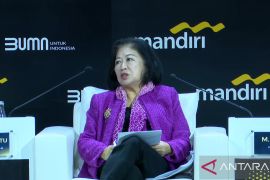 DEN: Selain RI efisiensi anggaran juga dilakukan negara lain