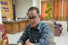 Bulog pastikan ketersediaan bahan pangan Sulteng memadai