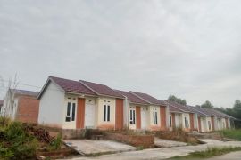 REI Jambi targetkan bangun rumah subsidi 6.167 unit pada 2025