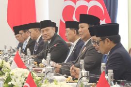 Hubungan batin RI-Turki cukup dalam setelah terjalin 75 tahun