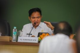 Pj Gubernur tekankan penyusunan RPJMD NTB inklusif dan partisipatif