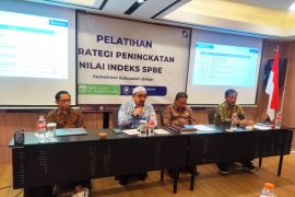 Pemkab Banjar latih tim siapkan strategi peningkatan nilai indeks SPBE