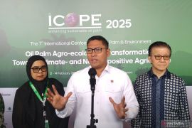 Pemerintah tekankan produktivitas sawit dukung program prioritas