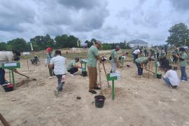 BRI Insurance dan PNM tanam 1.000 bibit pohon di Bangka Belitung