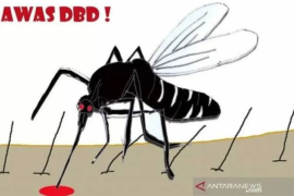 Kasus DBD di Dompu turun