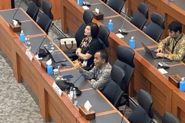 Ekonom ingatkan pemerintah hati-hati soal kebijakan pajak di 2025