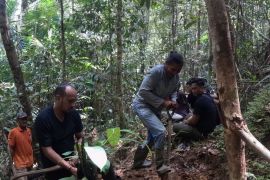 Polres Sorong ungkap kasus pembunuhan didalangi Kepala Distrik Klabot