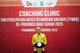 Pemprov Riau targetkan 90 persen inklusi keuangan di daerah 3T
