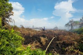 BMKG: Cuaca panas di Aceh masih bisa picu Karhutla